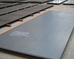 Stainless Steel plates